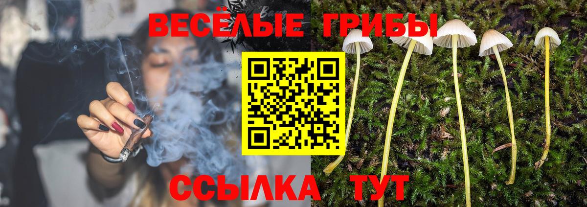 Галлюциногенные грибы мухоморы Усть-Илимск